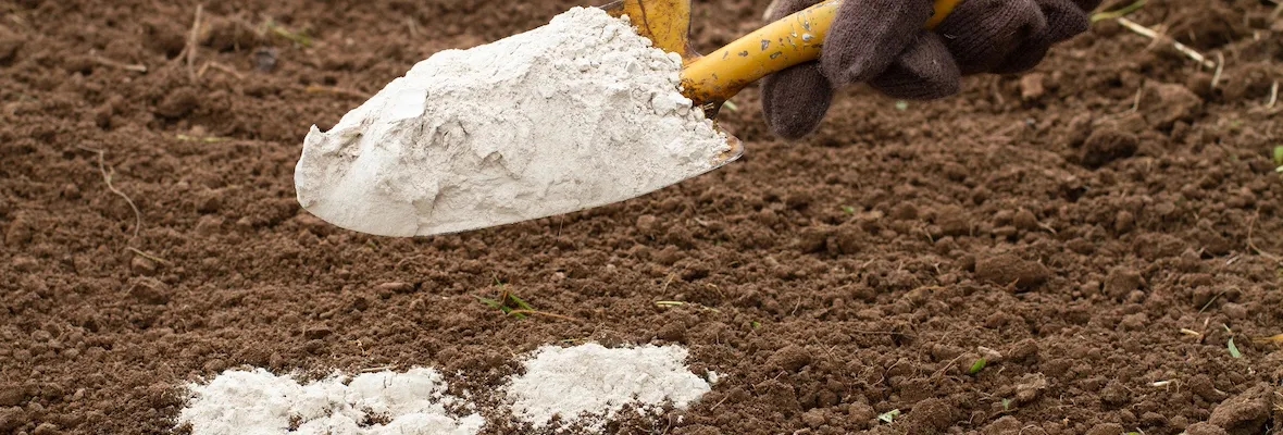 Kiedy stosować dolomit jako nawóz? Kluczowe informacje dla ogrodników