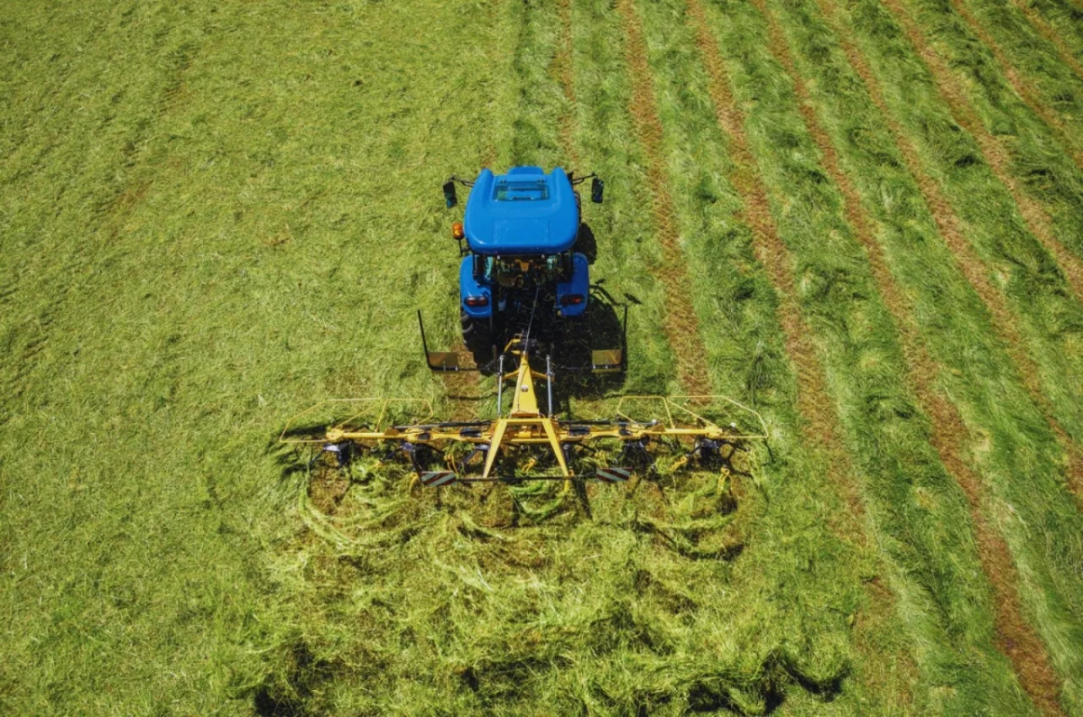 Jaki nawóz na drugi pokos? Sprawdź, jak poprawić plony trawy